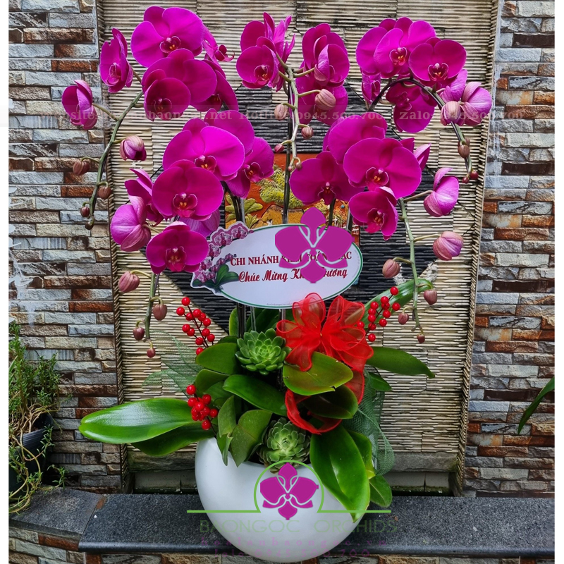 Chậu hoa phong lan tím HDD-0508