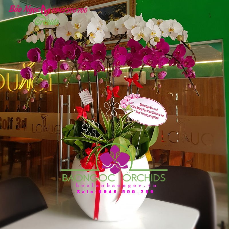 Trắng tím 10 cành HDS-1004