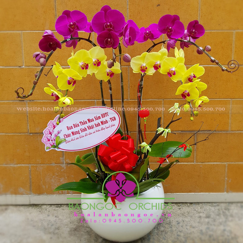 Đa sắc 5 cành HDS-0505