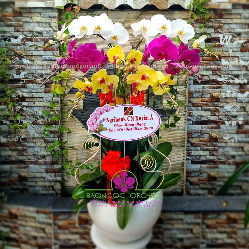 Chậu hoa lan Vàng tím 7 cành HDS-0706