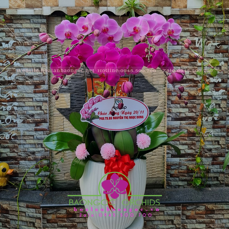 Hồng tím 7 cành HDS-0709