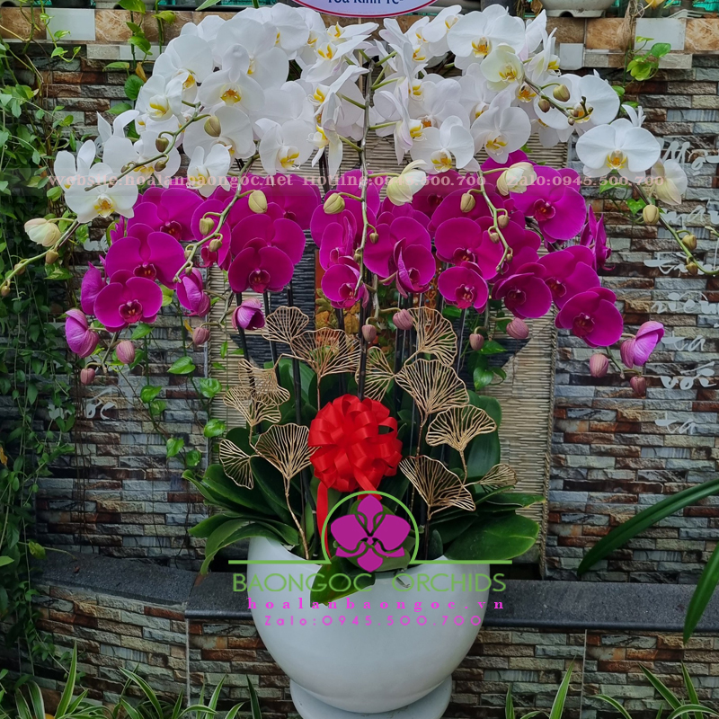 Trắng tím 12 cành HDS-1205