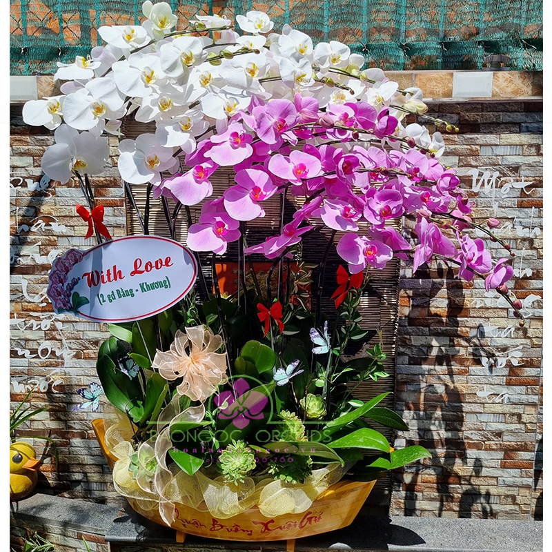 Hoa lan đẹp văn phòng HDS-1607A