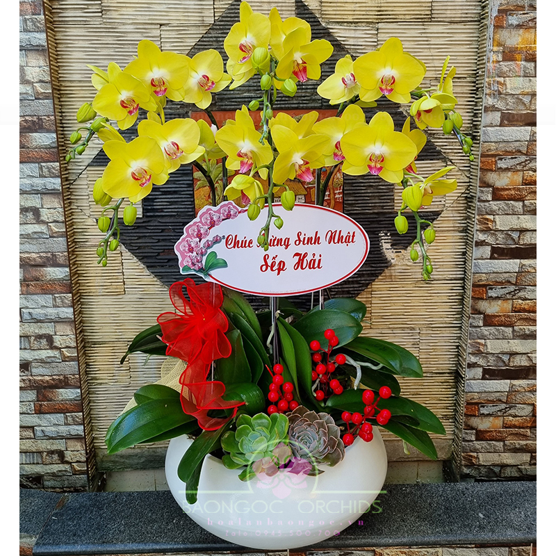 Chậu lan hồ điệp vàng chúc mừng Năm Mới HDV-0606A