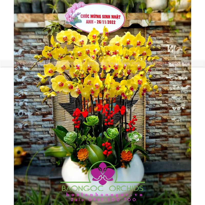 Chậu lan hồ điệp vàng 18 nhánh HDV-1802.