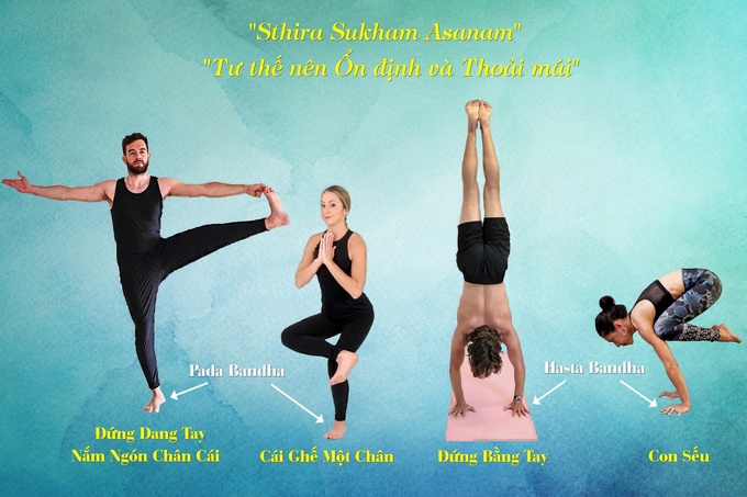 4 Nguyên tắc cơ bản của Asana (Tư thế Yoga)