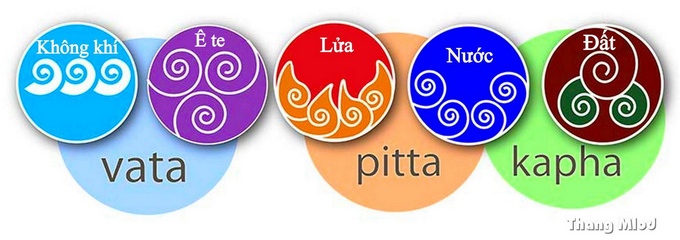 Ba thể tạng (Dosha): Vata – Pitta – Kapha
