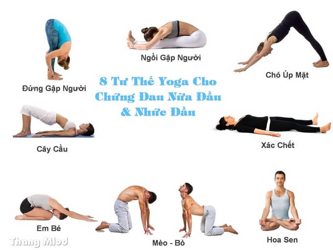 8 Tư thế yoga cho chứng đau nửa đầu và nhức đầu