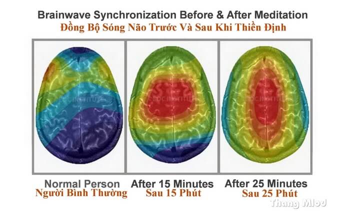 Đồng bộ sóng não trước và sau khi thiền