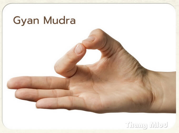 Ấn Gyan Mudra