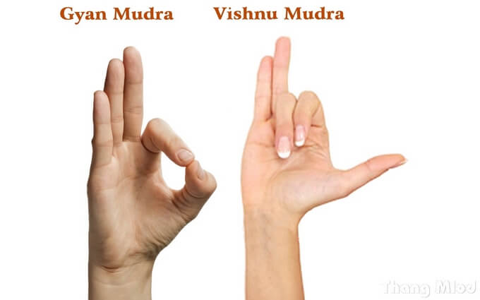 Ấn Gyan Mudra & Ấn Vishnu Mudra