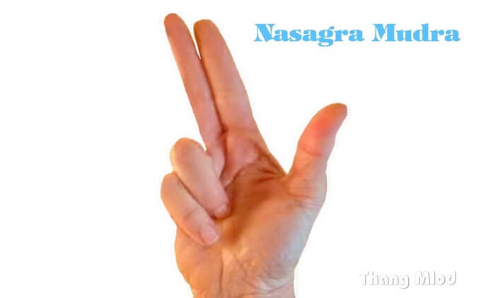 Ấn Nasagra