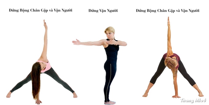 các động tác yoga cho cột sống