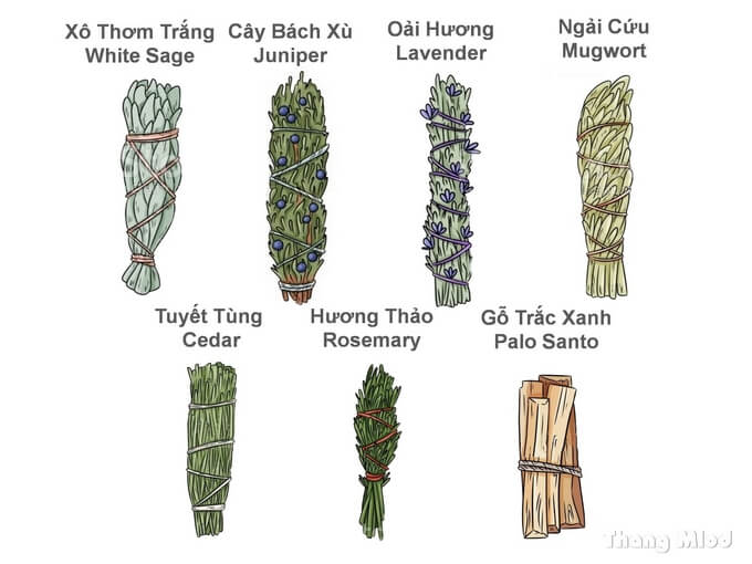Các loại cây để xông khói
