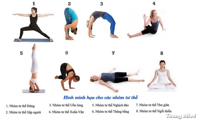 Các nhóm tư thế yoga chính