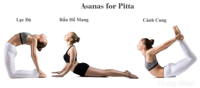 CÁC TƯ THẾ YOGA CHO PITTA