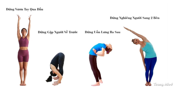 các tư thế yoga cho cột sống