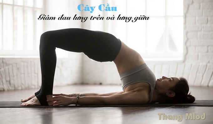 Tư Thế Cây cầu (Setu Bandha Sarvangasana - Bridge Pose)
