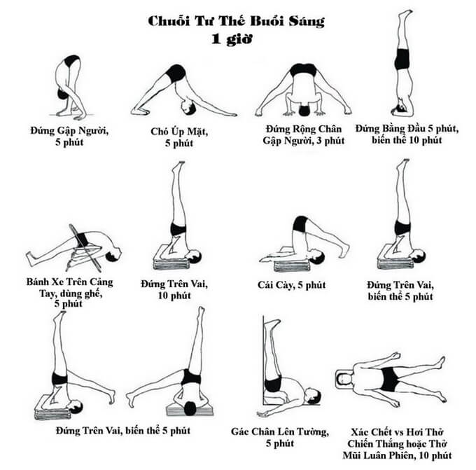 chuỗi tư thế yoga thực hành buổi sáng