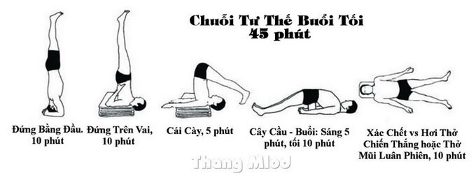 chuỗi tư thế yoga thực hành buổi tối