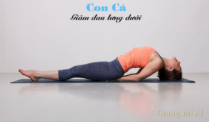 Tư Thế Con Cá (Matsyasana - Fish Pose)