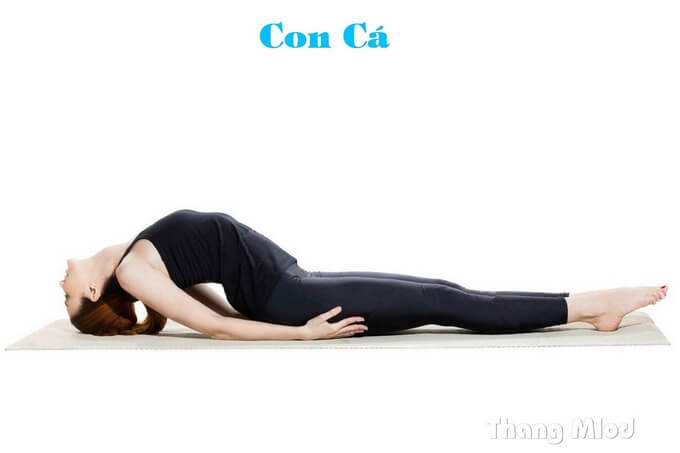 tư thế Con Cá - Fish Pose