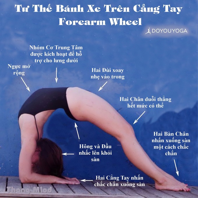 Định tuyến Tư thế Yoga Bánh xe trên cẳng tay