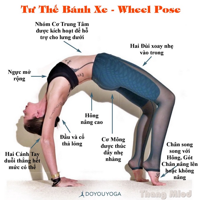 Định tuyến Tư thế Yoga Bánh xe