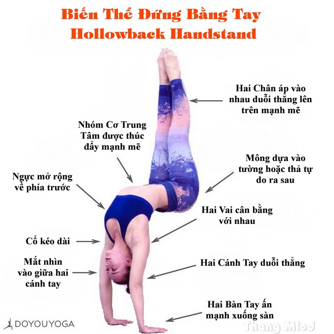 Định tuyến Tư thế Yoga Biến thể Đứng bằng tay