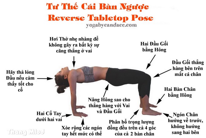 Định tuyến Tư thế Yoga Cái bàn ngược