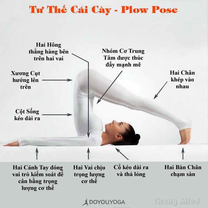 Định tuyến Tư thế Yoga Cái cày