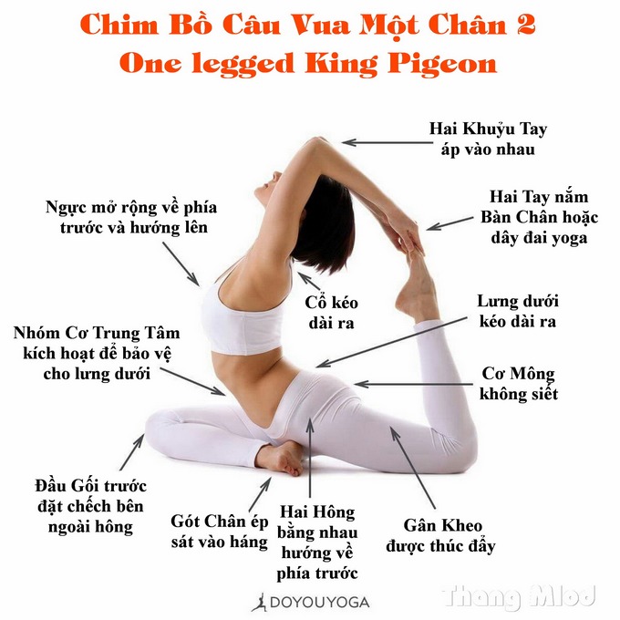 Định tuyến Tư thế Yoga Chim bồ câu vua một chân 2