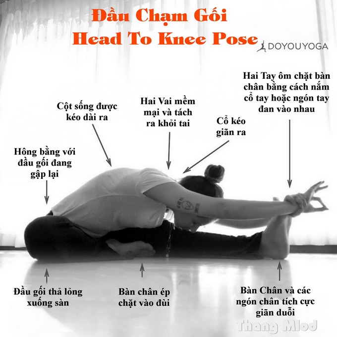 Định tuyến Tư thế Yoga Đầu chạm gối