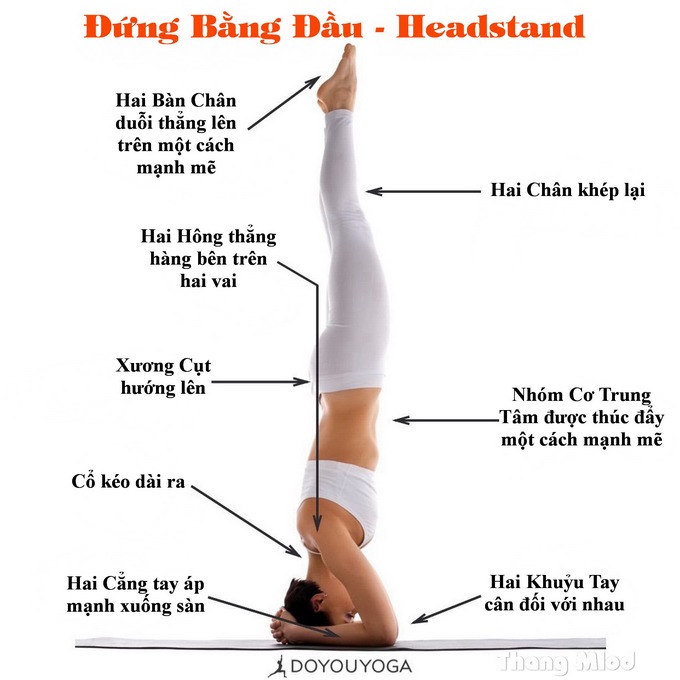 Định tuyến Tư thế Yoga Đứng bằng đầu