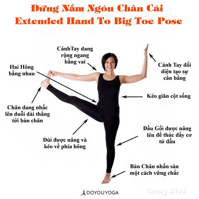 Định tuyến Tư thế Yoga đứng nắm ngón chân cái