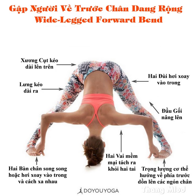 Định tuyến Tư thế Yoga Gập người về trước dang rộng chân