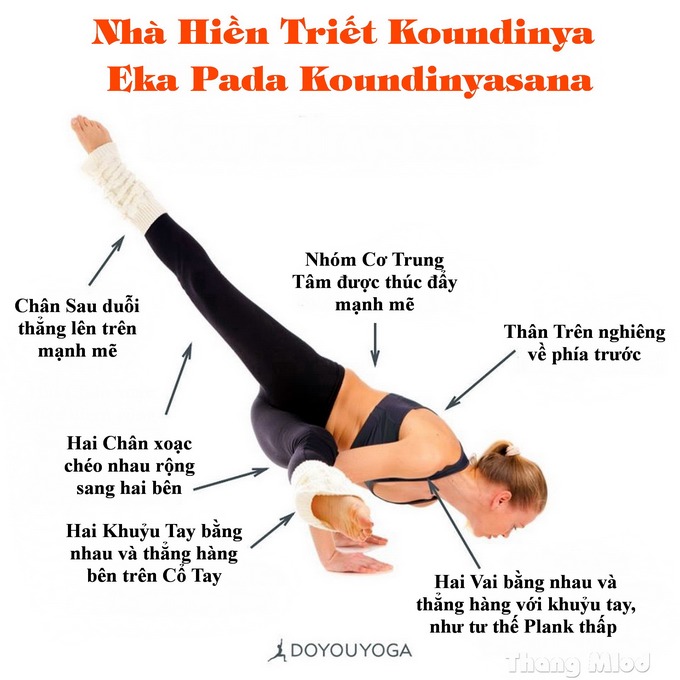 Định tuyến Tư thế Yoga Nhà hiền triết Koundinya