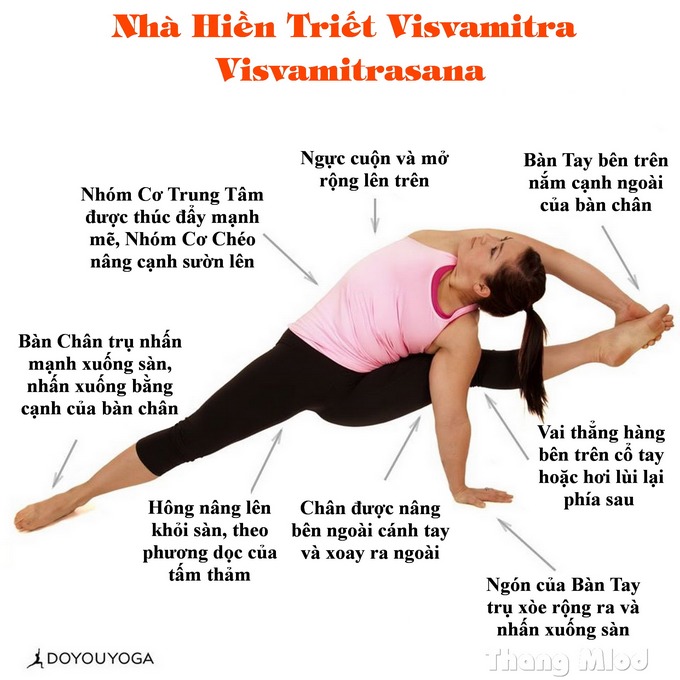 Định tuyến Tư thế Yoga Nhà hiền triết Visvamitra