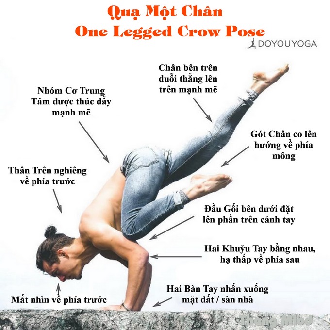 Định tuyến Tư thế Yoga Quạ một chân