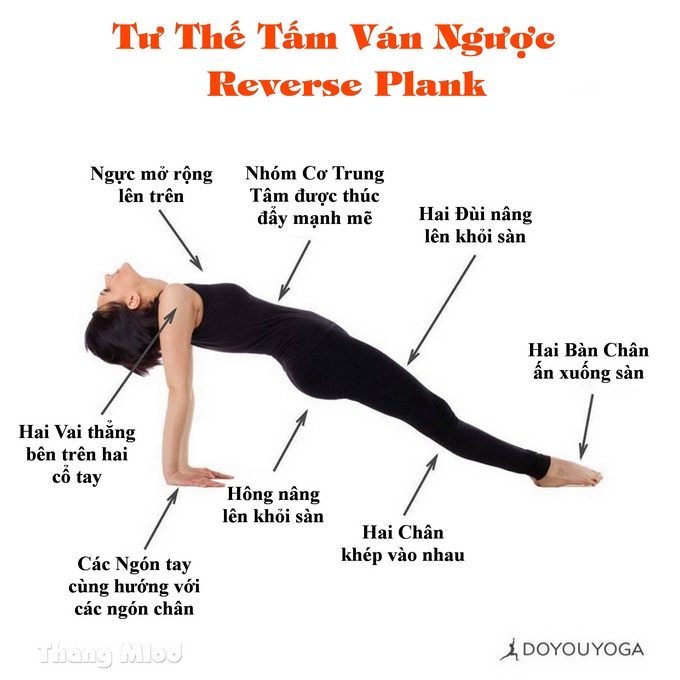 Định tuyến Tư thế Yoga Tấm ván ngược