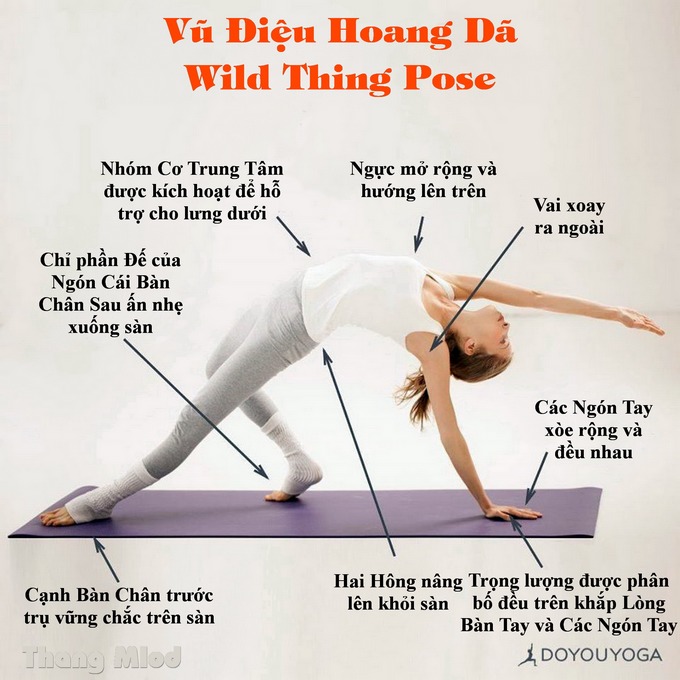 Định tuyến Tư thế Yoga Vũ điệu Hoang dã