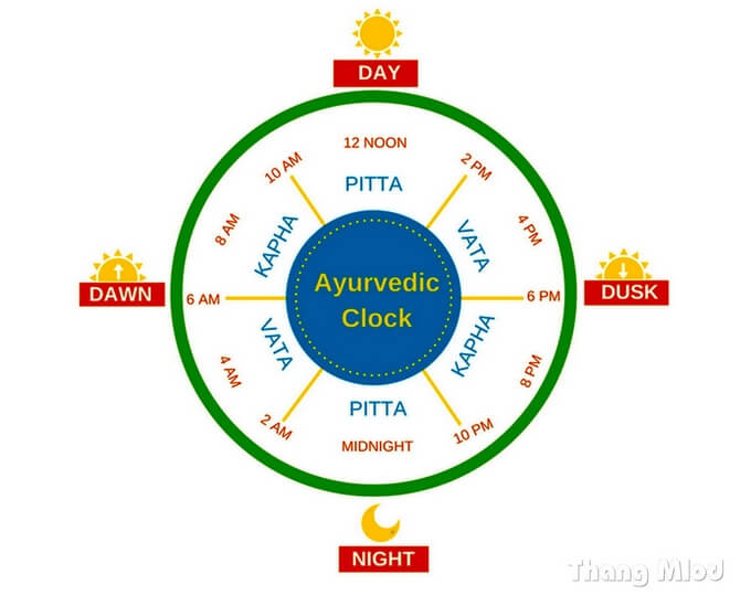Đồng hồ Ayurveda - Đồng hồ sinh học