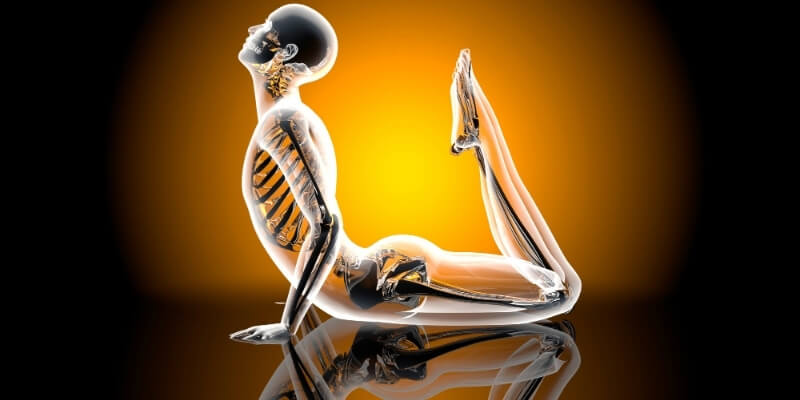 Học giải phẫu có giúp cho thực hành yoga an toàn hơn không?