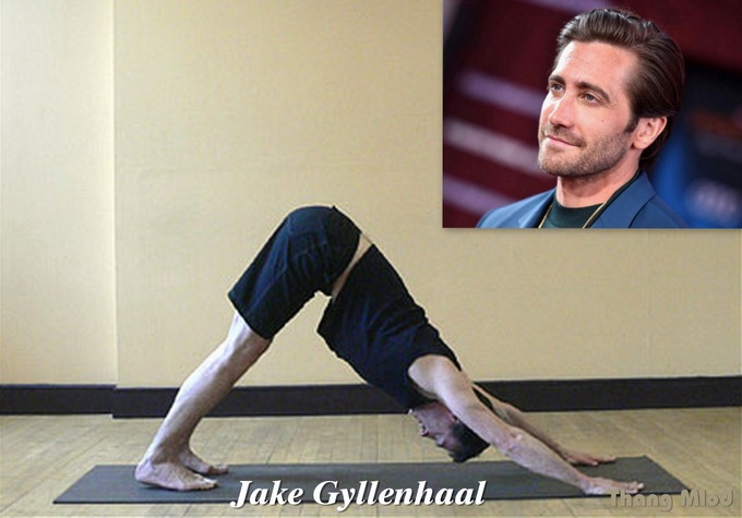 Diễn Viên Điện Ảnh - Jake Gyllenhaal