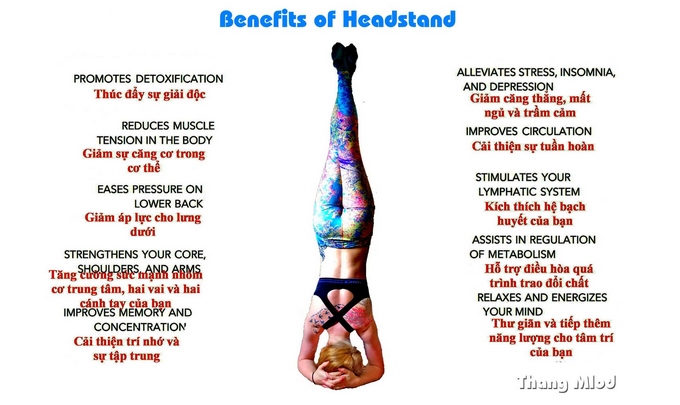 Lợi ích của tư thế đứng bằng đầu headstand
