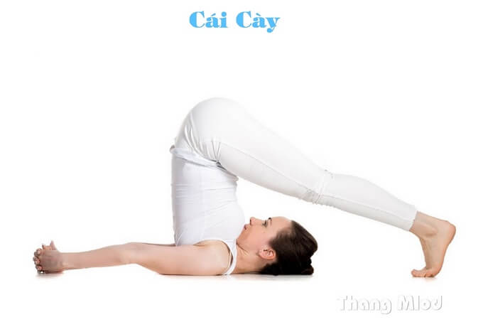 tư thế Cái Cày - Plough Pose