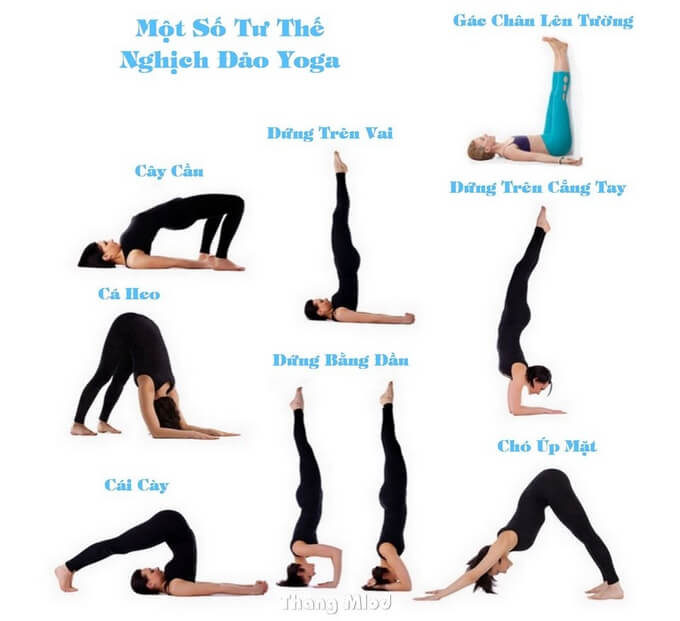 Một số tư thế yoga ngịch đảo