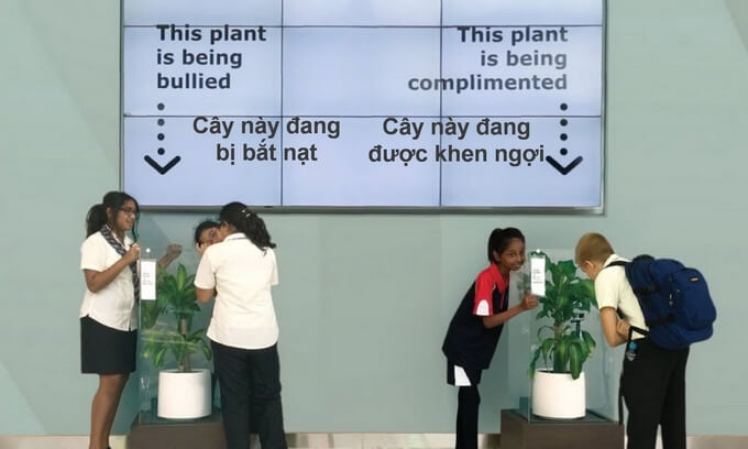 Thí nghiệm Lời nói tác động đến cây xanh