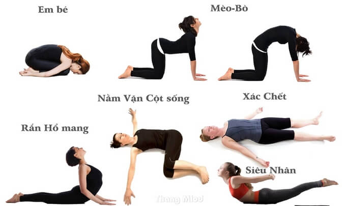 Các Tư Thế Yoga Phù Hợp Để Kiểm Soát Năng Lượng Pitta