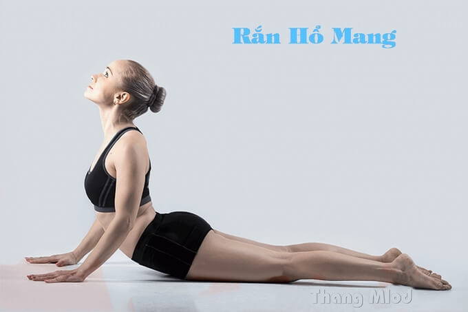 Tư thế Rắn Hổ Mang - Cobra Pose